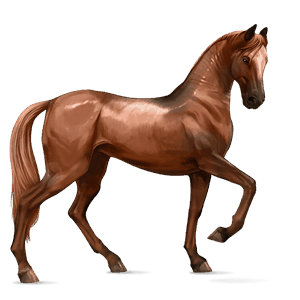 riding horse dun