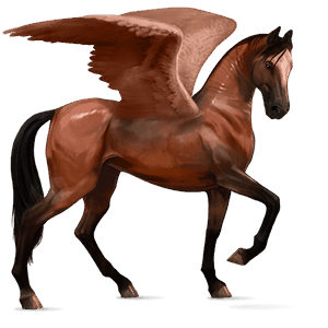 riding pegasus paint horse cherry bay tobiano