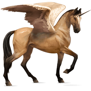 winged riding unicorn akhal-teke dark bay