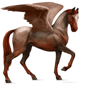 riding pegasus camargue light grey