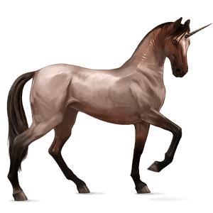 riding unicorn argentinean criollo chestnut