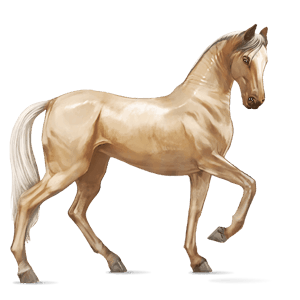 riding horse paint horse dun overo