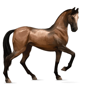 riding horse quarter horse flaxen chestnut 