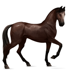 riding horse mustang liver chestnut