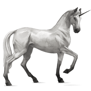 riding unicorn black