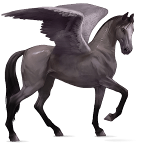 riding pegasus akhal-teke mouse grey