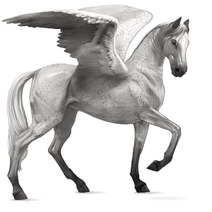 riding pegasus dapple grey