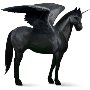 winged riding unicorn appaloosa black