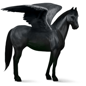 riding pegasus thoroughbred dark bay