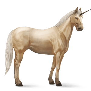 riding unicorn argentinean criollo dark bay