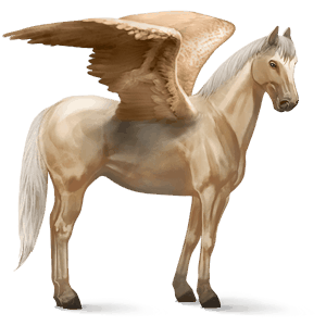 riding pegasus black