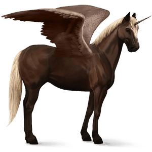 winged riding unicorn paint horse chestnut overo