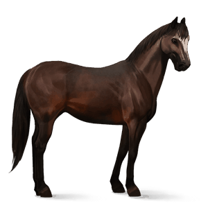 riding horse paint horse chestnut overo