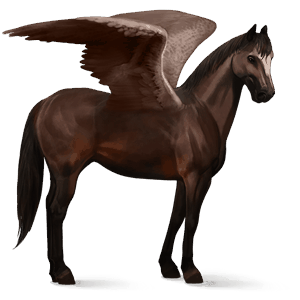 riding pegasus quarter horse dark bay