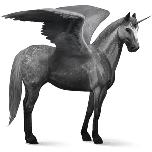 winged riding unicorn quarter horse dapple grey