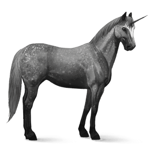 riding unicorn quarter horse dapple grey