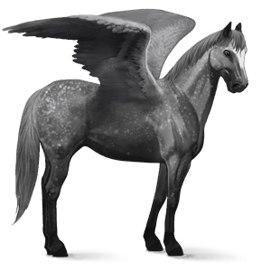 riding pegasus hanoverian dapple grey