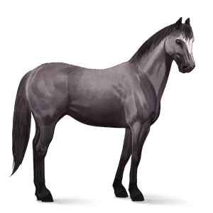 riding horse mouse grey
