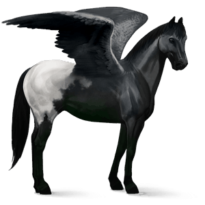 riding pegasus chestnut tovero 