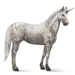 riding unicorn knabstrupper bay leopard