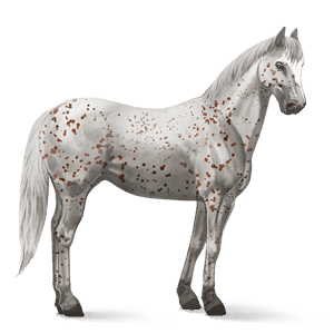 riding horse mustang cremello