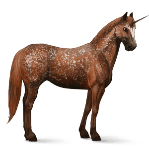 riding unicorn palomino