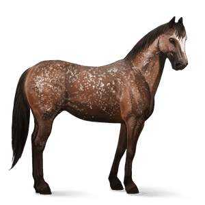 riding horse flaxen chestnut 