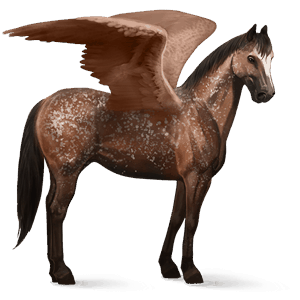riding pegasus appaloosa bay snowflake 