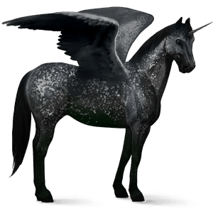 winged riding unicorn black