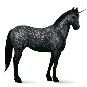 riding unicorn paint horse dark bay tovero