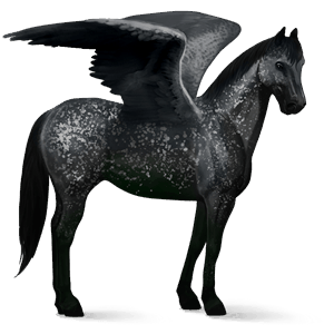 riding pegasus canadian horse chestnut