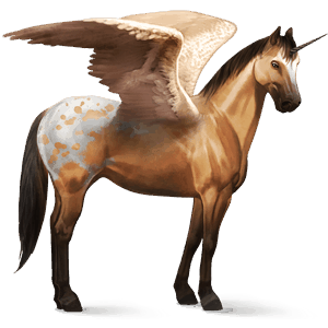 winged riding unicorn paint horse dun overo