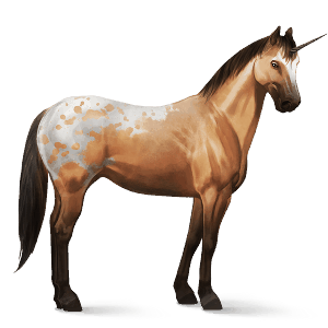 riding unicorn paint horse chestnut tobiano