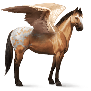 riding pegasus dun spotted blanket