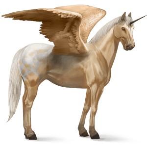 winged riding unicorn kwpn dark bay