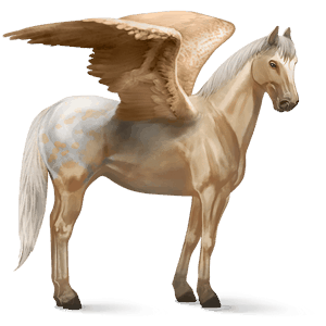 riding pegasus paint horse liver chestnut tobiano