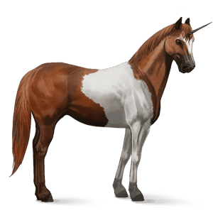 riding unicorn paint horse chestnut tobiano