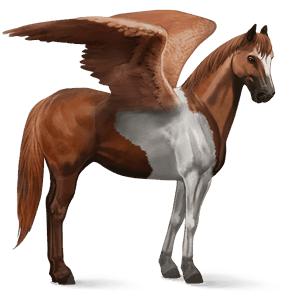 riding pegasus chestnut