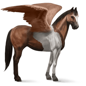 riding pegasus paint horse bay tobiano