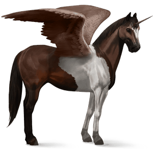 winged riding unicorn dark bay tobiano