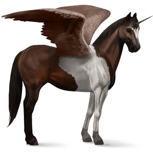 winged riding unicorn paint horse dark bay tobiano