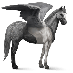 riding pegasus purebred spanish horse flaxen liver chestnut 