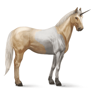 riding unicorn paint horse bay overo