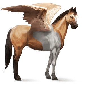 riding pegasus dun tobiano