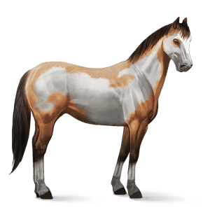 riding horse lipizzan liver chestnut