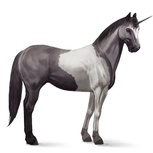 riding unicorn paint horse mouse grey tobiano