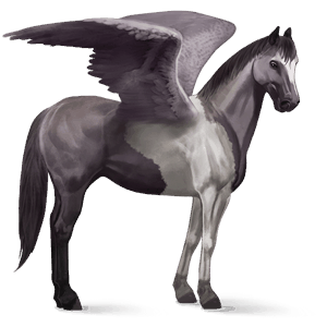 riding pegasus paint horse mouse grey tobiano