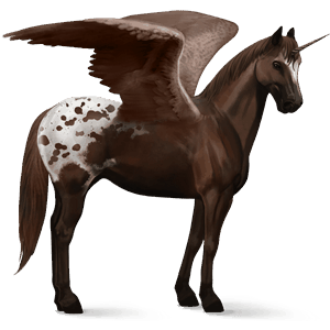 winged riding unicorn paint horse chestnut overo