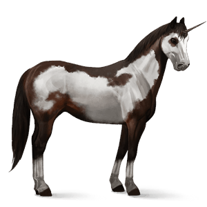 riding unicorn paint horse liver chestnut overo