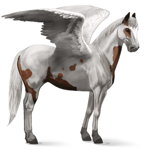 riding pegasus paint horse bay tovero 